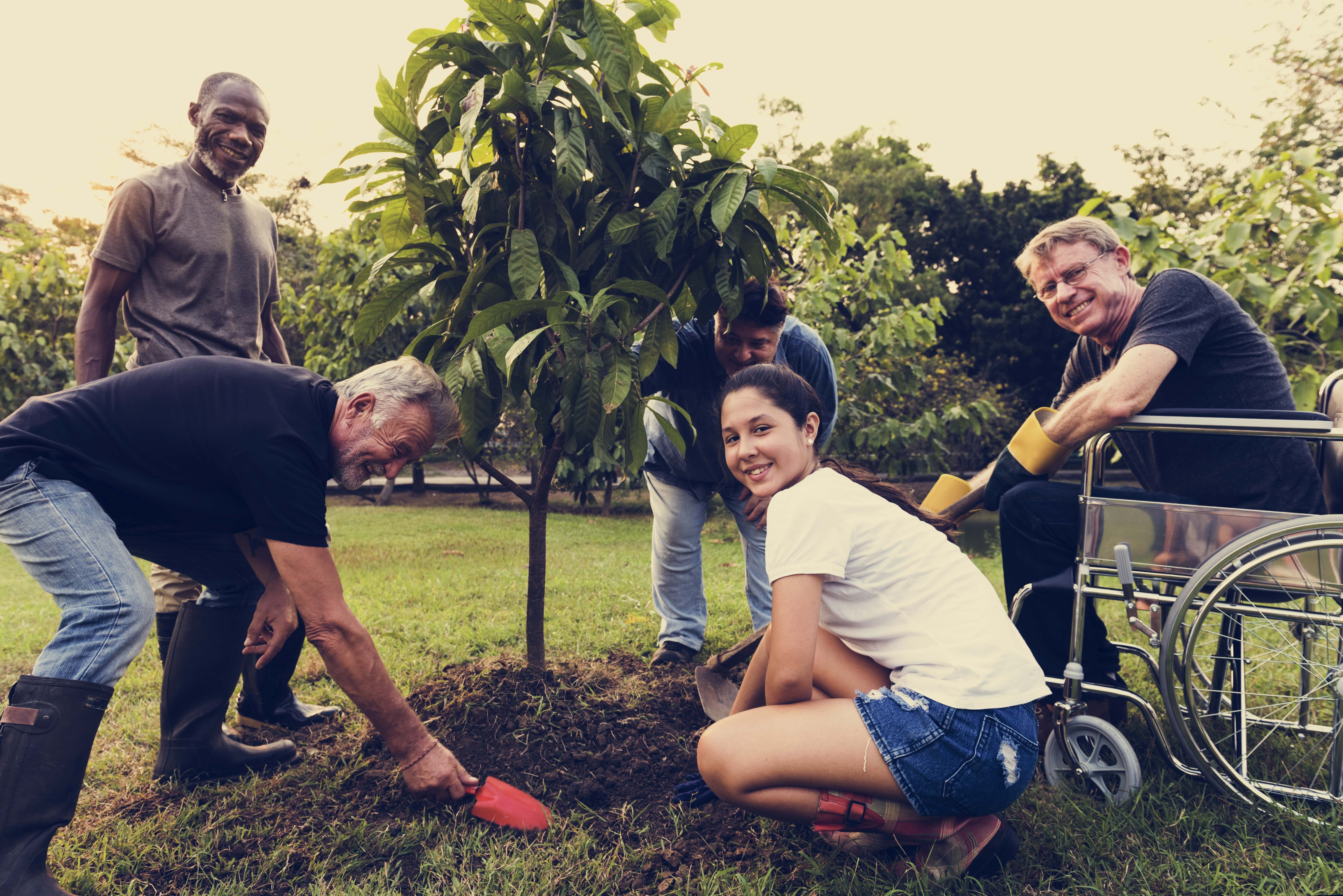 People planting trees